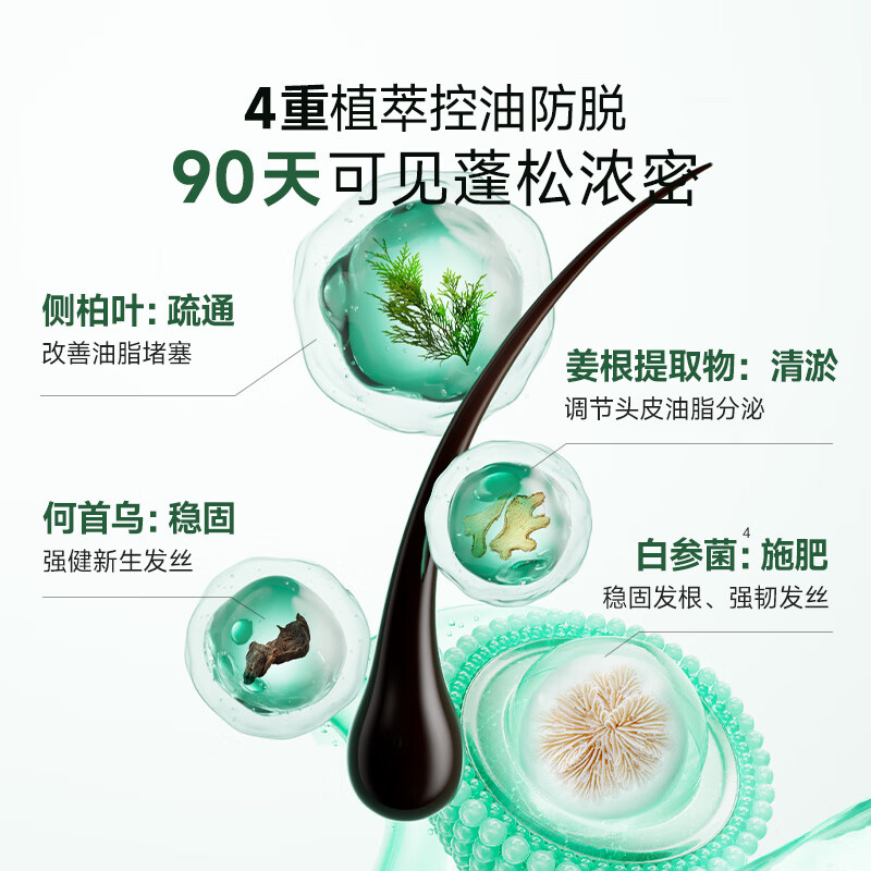 荷馨木质气囊按摩梳[HLJ016]高清大图