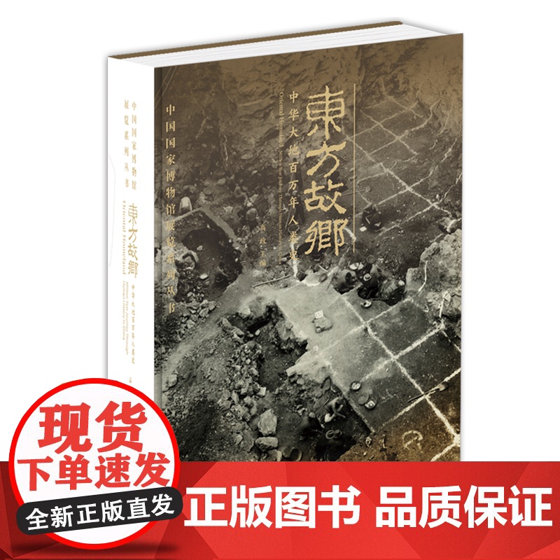 YS正版 东方故乡——中华大地百万年人类史 高政著 时代华文高清大图
