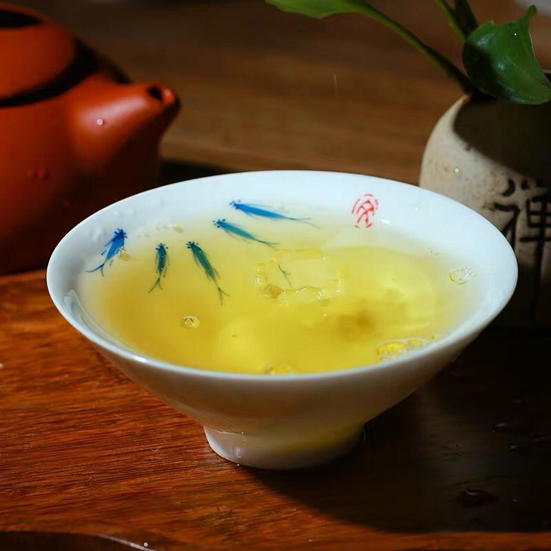 福岗 2024新春茶铁观音浓香型高山正品乌龙茶铁观音茶叶500g礼盒装