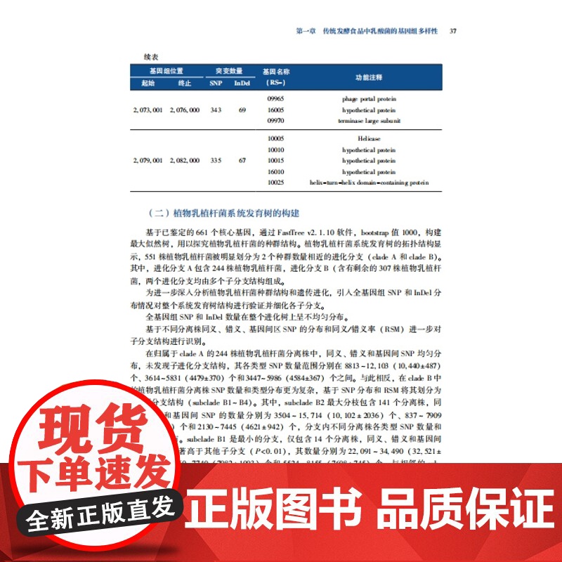 科技-乳酸菌环境生理学张文羿于洁乳酸菌活菌乳品生物技术自然发酵乳乳酸菌重要的微生物战略资源专著9787518451814高清大图