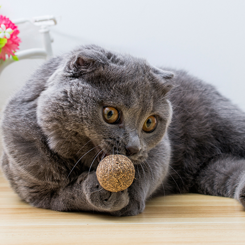 (2件9折)猫零食猫薄荷球棒棒糖猫咪用品猫糖逗猫玩具逗猫棒木天蓼磨牙棒