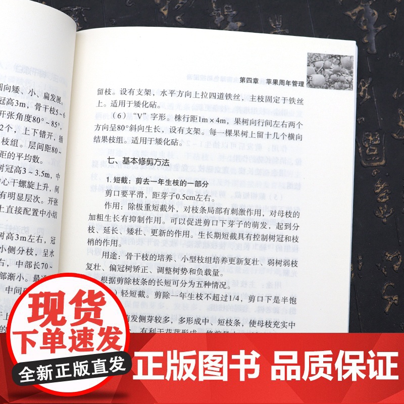 苹果提质增效栽培与病虫害绿色防控苹果树种植栽培技术书苹果树修剪技术书果树嫁接技术图解书苹果树合理整形修剪图解苹果树管理书高清大图
