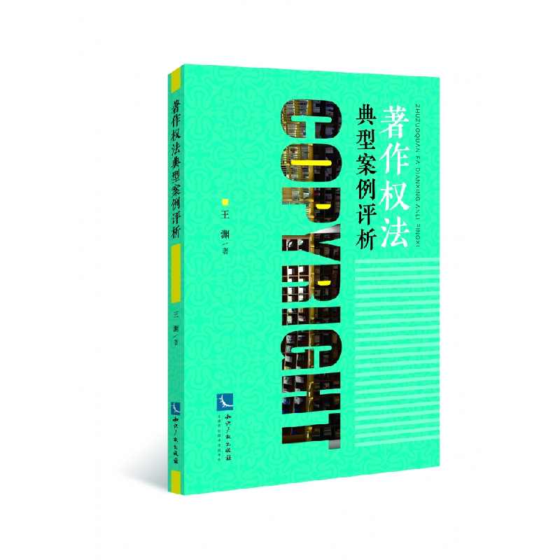 音像著作权法典型案例评析王渊 著