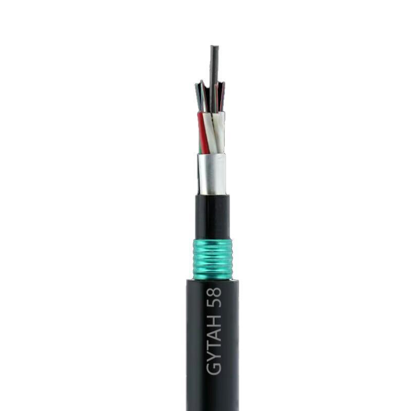 赛欧诺 铠装阻燃光缆 GYTAH58-48B1.3 米高清大图