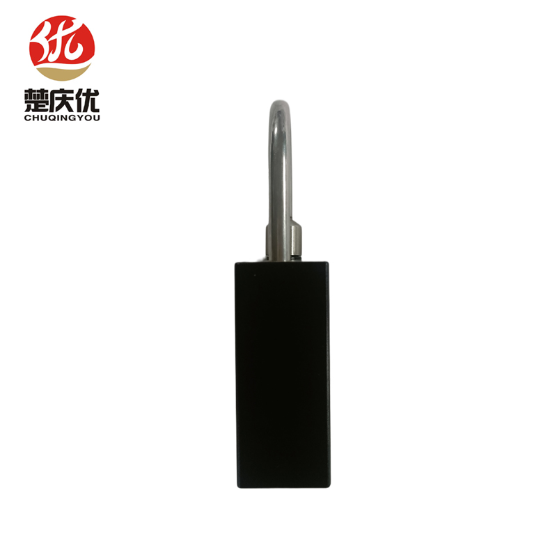 楚庆优 智能锁 CQY-BL11 把高清大图