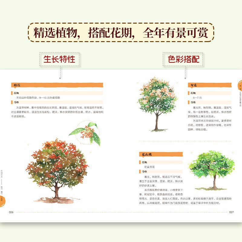 [醉染正版]正版 花园时光 阳台 露台 小庭院 养花书籍 庭院花卉植物绿植盆栽造景设计 私家庭院室内花园别墅庭院设计 花高清大图