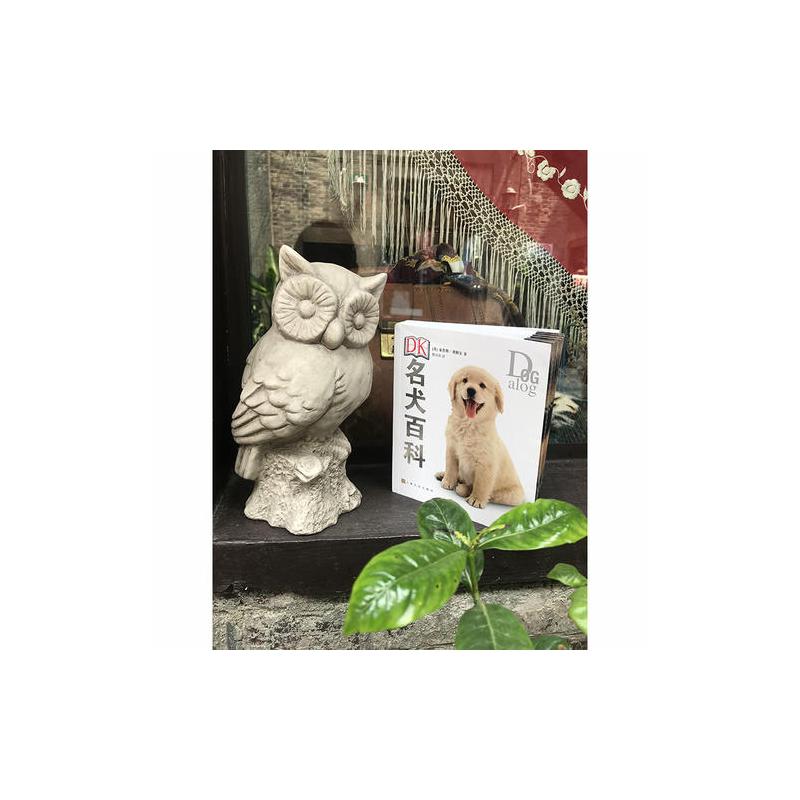 [正版]DK名犬百科 (英)布鲁斯·弗格尔 著 曹中承 译 自由组合套装生活 书店图书籍 上海文化出版社高清大图