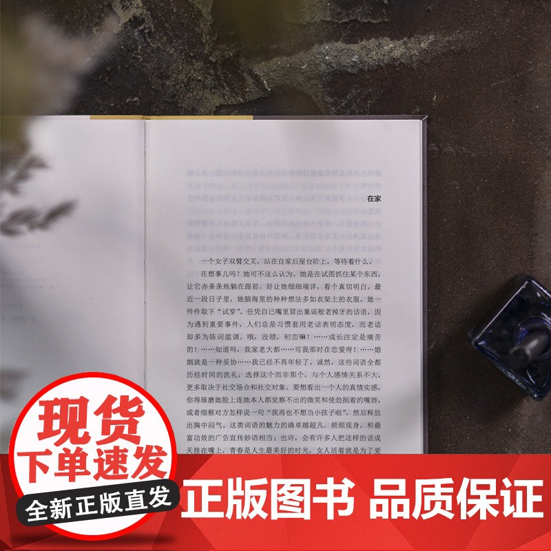 莱辛作品:幸存者回忆录 诺贝尔文学奖得主 伍尔夫之后又一世界级女作家英国长篇小说作品正版书籍译林出版社店高清大图