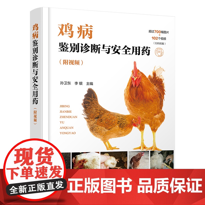 鸡病鉴别诊断与安全用药 附视频 鸡病防治类似疾病鉴别及安全用药综合工具书 鸡病鉴别诊断用药 鸡场兽医 养鸡专业大户应用参高清大图
