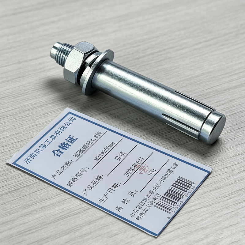 贝策 膨胀螺栓4.8级 M24*250mm 个高清大图