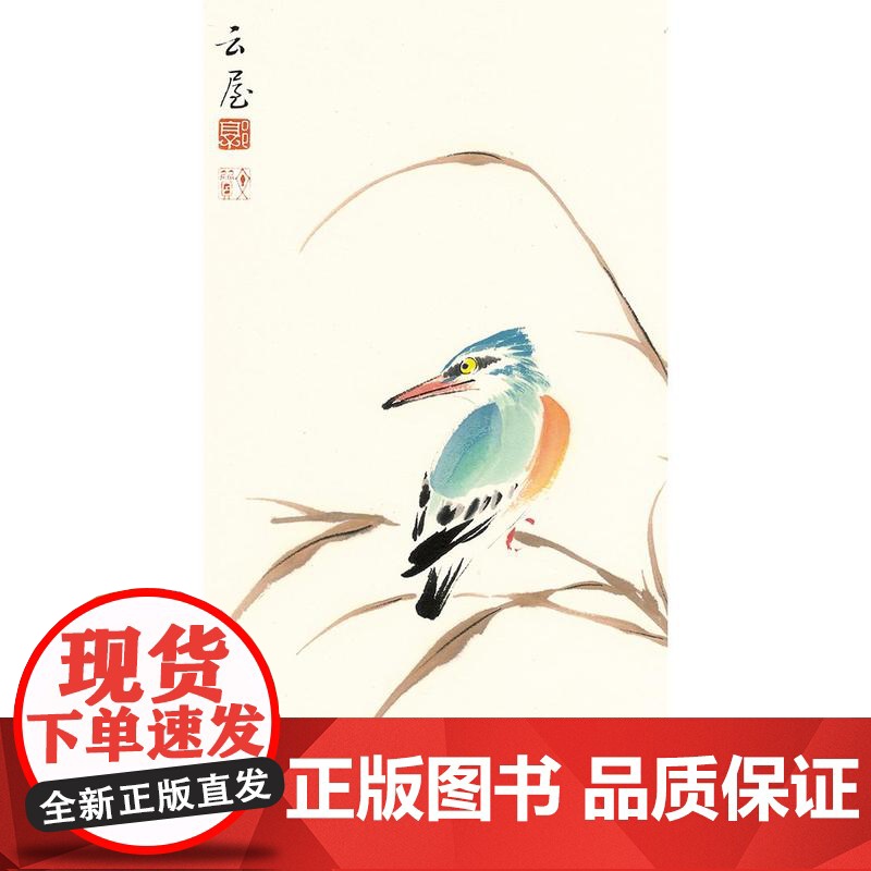 [视频教学]万物有灵 每日一画禽鸟册 小写意花鸟教程鹦鹉 山雀 国画花鸟技法自学入门基础教学 花鸟写意临摹画册高清大图