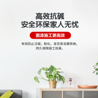 多乐士(Dulux)通用无添加底漆 内墙乳胶漆油漆涂料 A914 18L 哑光白色