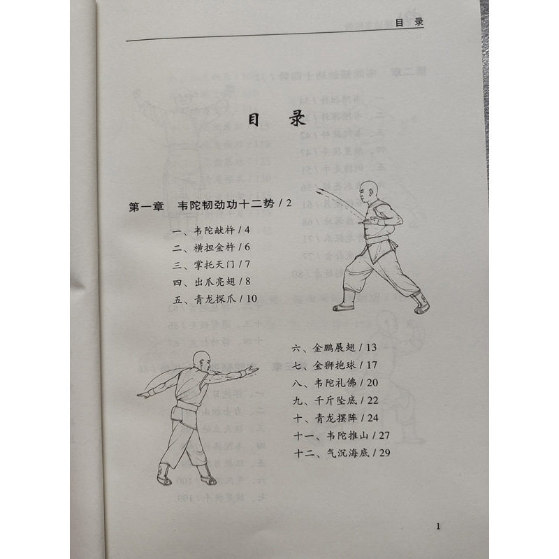 秘诀健体锻炼养生太极拳韦陀劲中国功夫武术书武功秘籍人民体>800_800