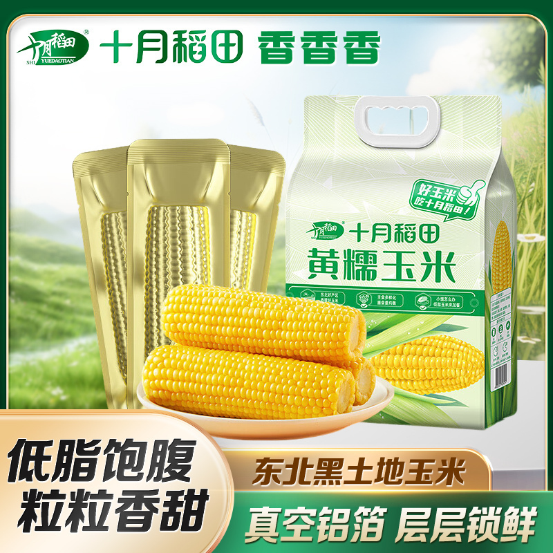 十月稻田玉米组合装黄糯玉米220g*8+白糯玉米260g*8共16根