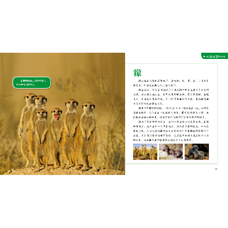 醉染图书聪明孩子的百科全书系列动物乐园9787557860493