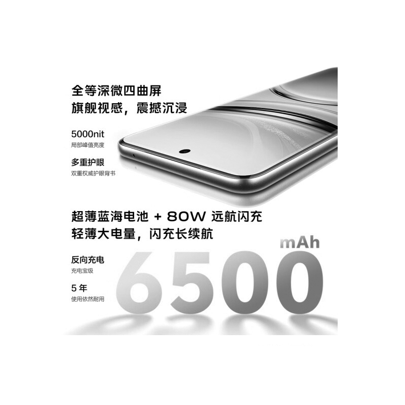 vivo Y300 Pro 钛色 12GB+512GB 骁龙6 5G芯 6500mAh电池 80W充电 5000万高清影像 5G手机