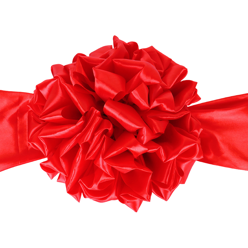 日目 红绣球红绣花 直径60cm 个高清大图