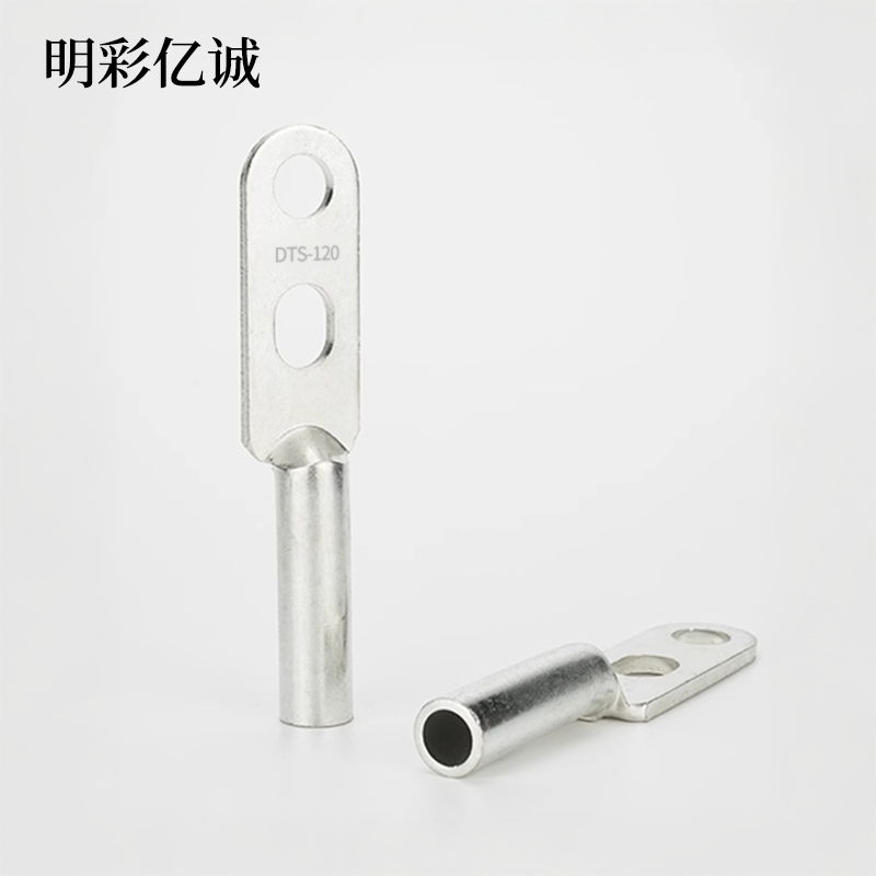 明彩亿诚 镀锡铜鼻子双孔 DTS-120 个高清大图