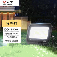 公牛(BULL) 投光灯 户外路灯庭院灯园林照明灯 IP65防水等级 100W-6500K白光MG-D100A-AE