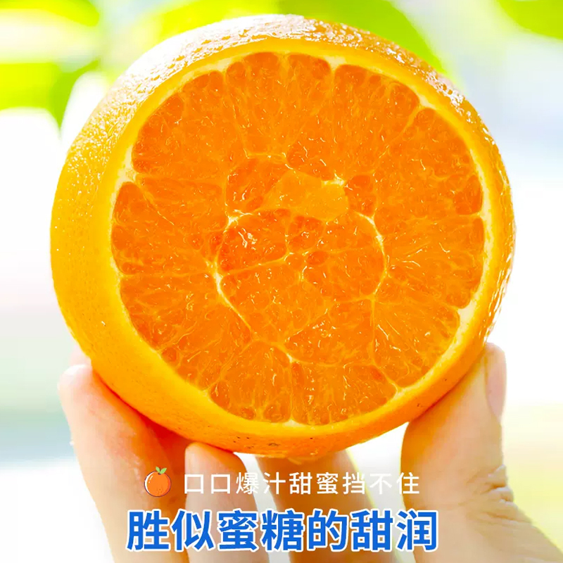 [西沛生鲜]正宗伦晚脐橙 净重9斤 单果70-75mm 秭归橙子水果新鲜当季整箱斤果冻甜橙春橙伦晚脐橙