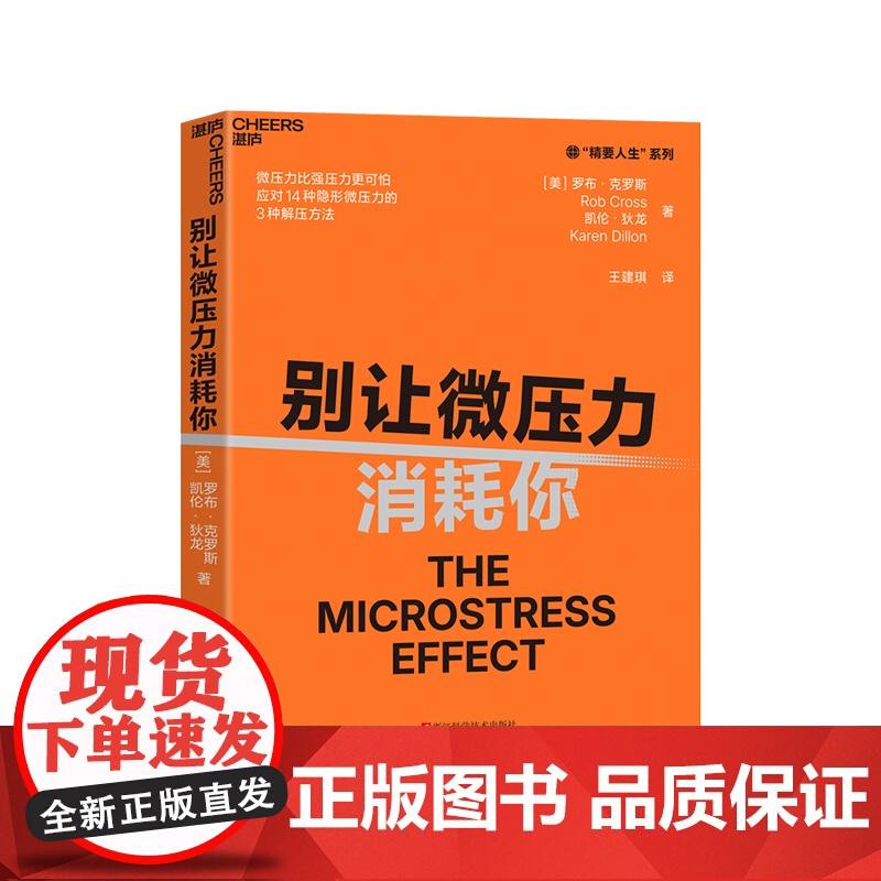 别让微压力消耗你 职场家庭社交剖析14种微压力类型应对解压方法 人际关系学压力管理健康目标低效沟通 韧性网络多维生活 湛高清大图