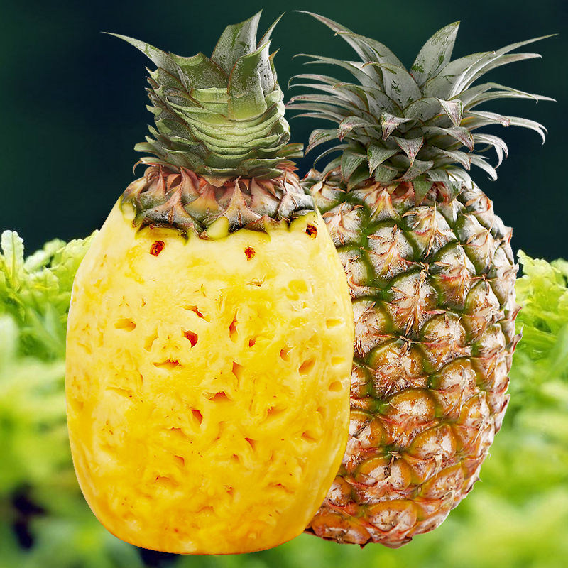 【手撕大菠萝】报价行情_排行_品牌_参数_怎么样_图片_商家-苏宁易购