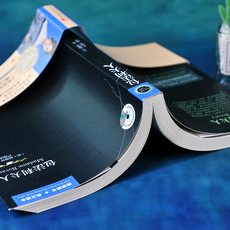 [正版]中英双语包法利夫人 英汉对照图书 英文原版+中文版中英文双语世界名著小说 中英对照版书籍文学爱好者英语原著读物高清大图