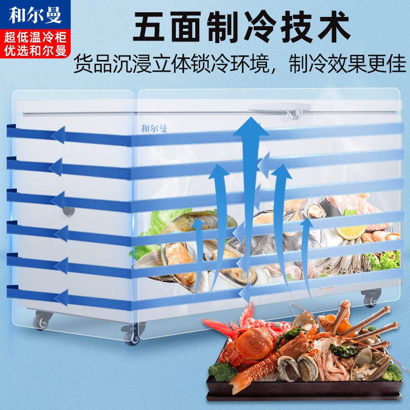 和尔曼 470升超低温水产冷柜 商用卧式冰柜 -80℃海鲜餐厅日料店金枪鱼商用水产保存箱DW-80W470A