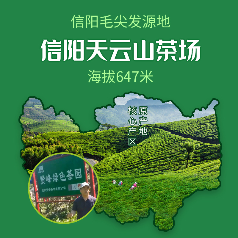 贤峰信阳毛尖绿茶一级初心250克/袋高清大图