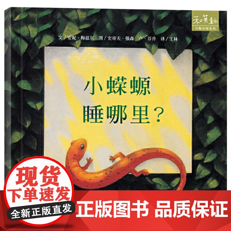 小蝾螈睡哪里硬壳精装绘本图画书和英正版童书高清大图
