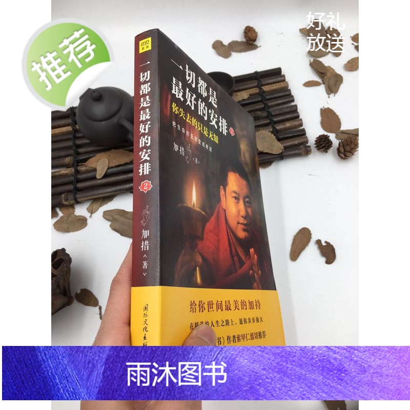正版 一切都是最好的安排2 把生命的无常变成奇迹 加措活佛 索甲仁波切推荐 国际文化出版公司高清大图