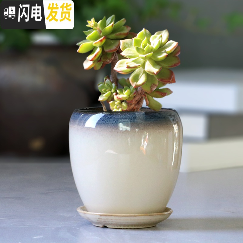 三维工匠花盆陶瓷大号家用带托盘个性简约蛋型绿植绿萝吊兰小多肉花盆 2个中号蛋型(孔雀蓝+白) 大花盆容器