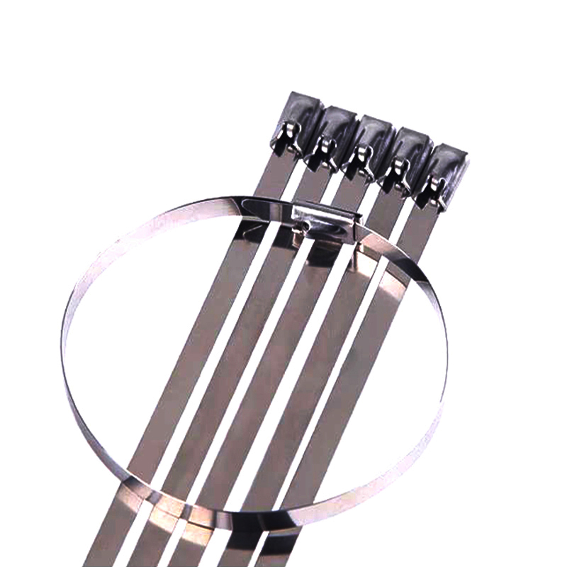 铁耀 不锈钢扎带 4.6*850mm 根高清大图