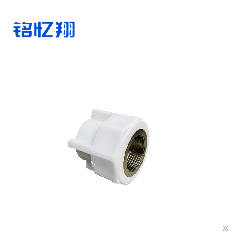 铭忆翔 PPR内丝直接 20mm 个