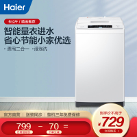 Haier/海尔洗衣机 6公斤 智能漂洗 波轮全自动小洗衣机EB60M19