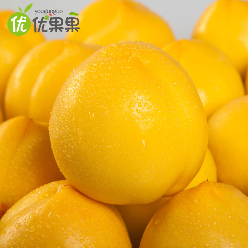 山东蒙阴黄桃带箱 5斤约12-18个左右新鲜现摘现发脆甜多汁可口应季水果脆桃黄桃毛桃