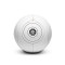DEVIALET 帝瓦雷Phantom I 蓝牙音箱家用影院电视音箱高保真重低音WiFi音响 108dB 流金白+枝架