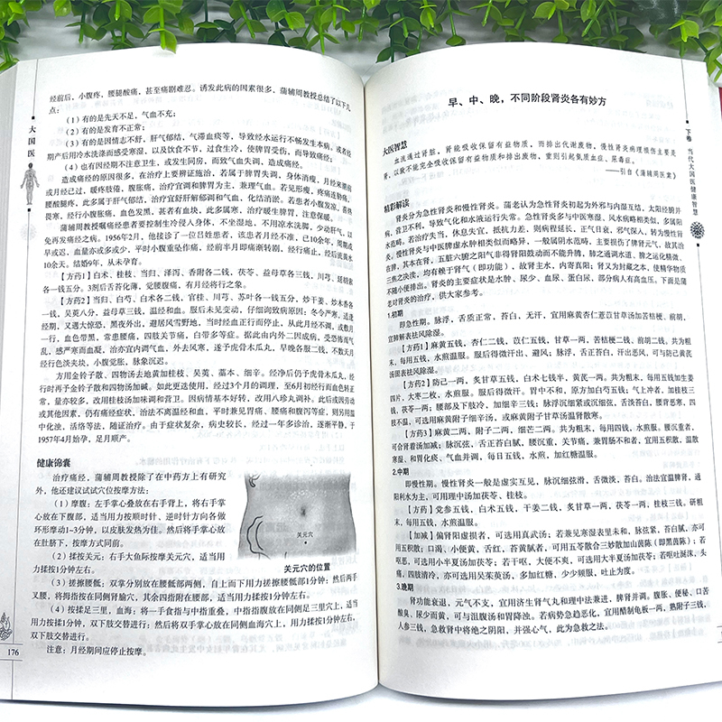 [正版]大厚本插图版 大国医大全集 古代大国医与当代大国医 国医健康医学 中医保养保健 白话文内科学中医基础理论偏方验
