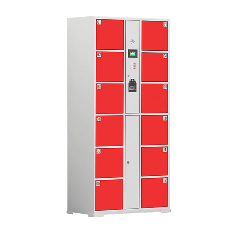 智叶舟智能储物柜指纹密码12门850*460*1800mm台高清大图