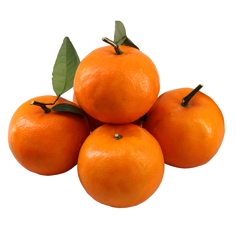 优野滋柑橘类 广西武鸣沃柑 5斤装 约18-23个 橘子 大果【价格 图片