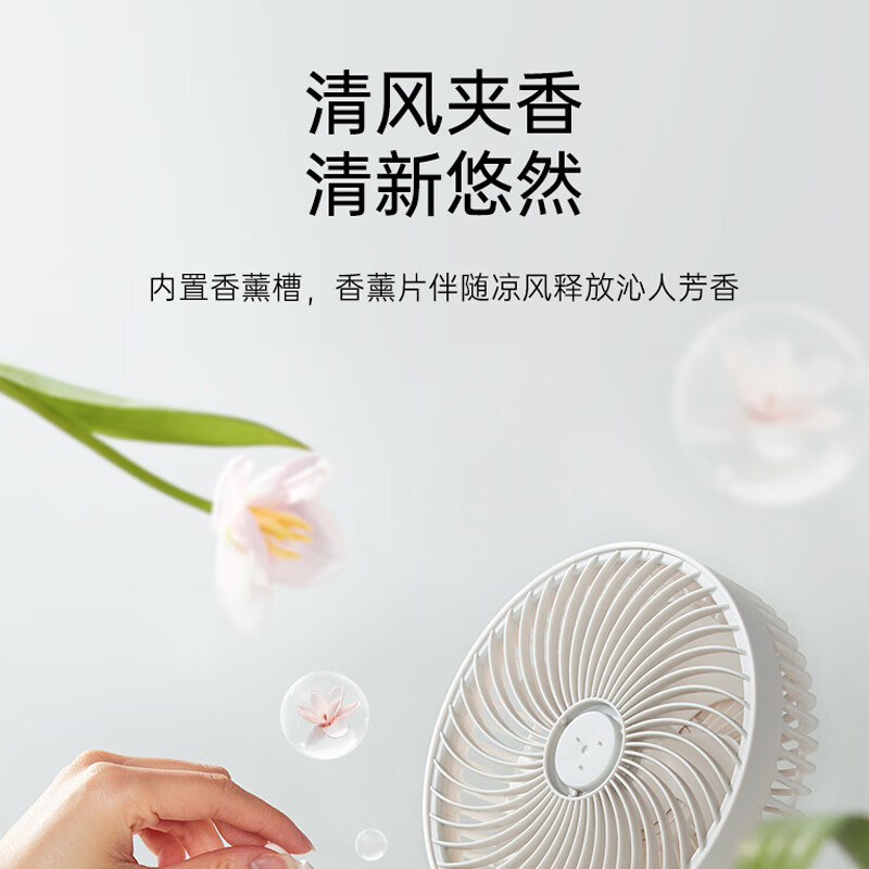 小熊(Bear)风扇电风扇壁扇壁挂风扇 空气循环扇电扇风扇大风量卧室办公室扇 [壁挂有线款]DFS-T05W1高清大图
