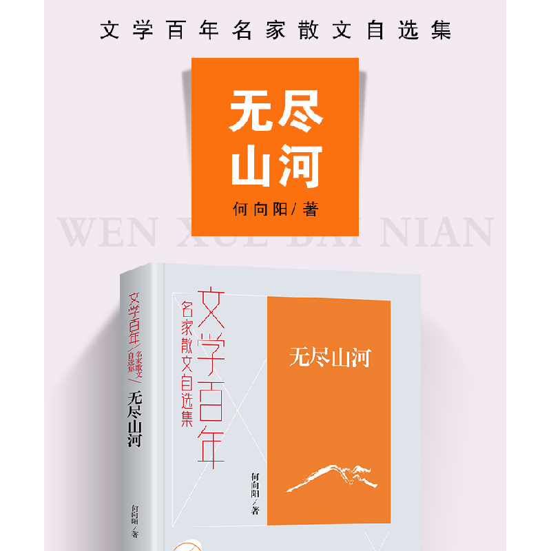 正版新书]文学百年-无尽山河何向阳9787556128242高清大图