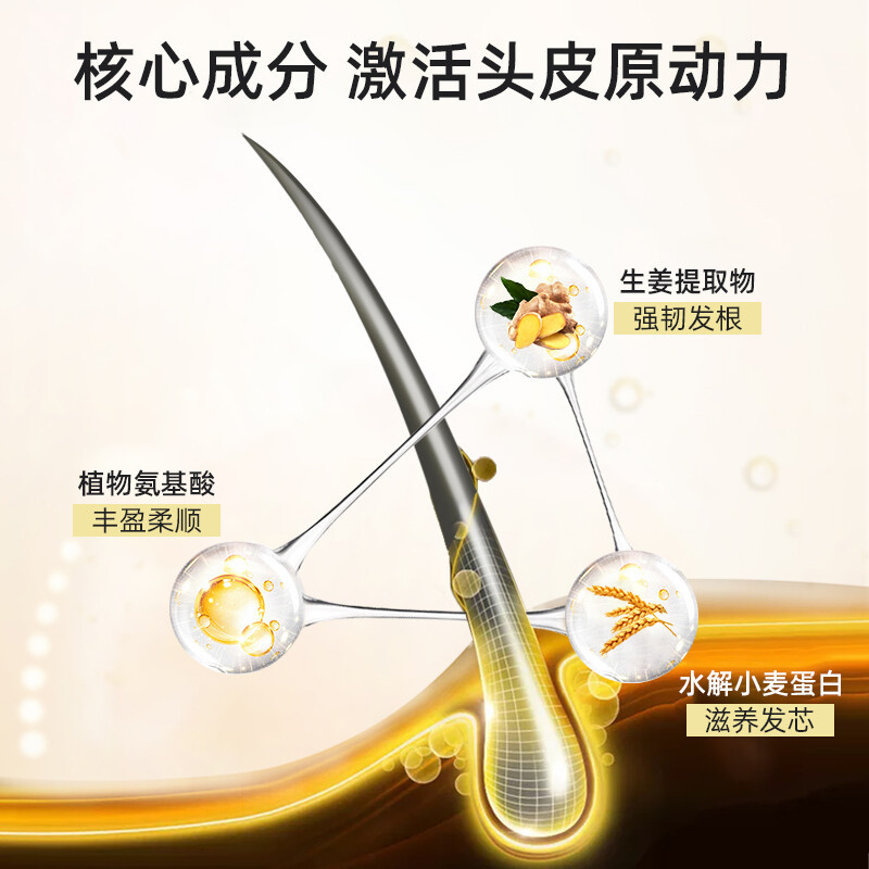 菲诗蔻FicceCode澳洲进口生姜洗发套装洗发水300ml*2+发膜300ml 强韧健发无硅油控油保湿