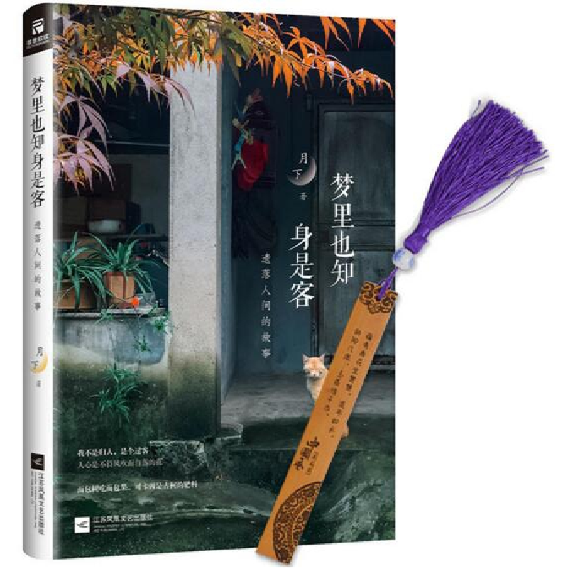 正版 梦里也知身是客:遗落人间的故事 月下著 江苏凤凰文艺出版社高清大图