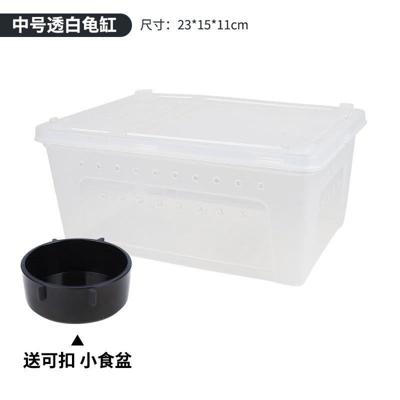 小乌龟饲养盒子过冬眠用品两栖缸蝾螈箱迷你带盖缸宠物盒图片