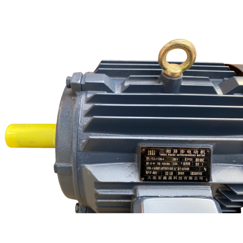 宏鑫晟志 三相异步电动机 YE3-112M-4-380V-8.29A 单位:台高清大图