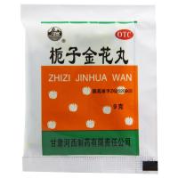 河西栀子金花丸9g*10袋/盒清热泻火凉血解毒用于肺胃热盛