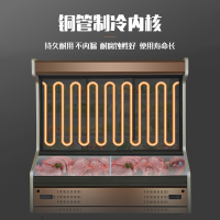 友田YOUTIAN商用点菜柜冷藏冷冻冰柜饭店麻辣烫烧烤串串大型展示陈列柜DCG-2玫瑰金