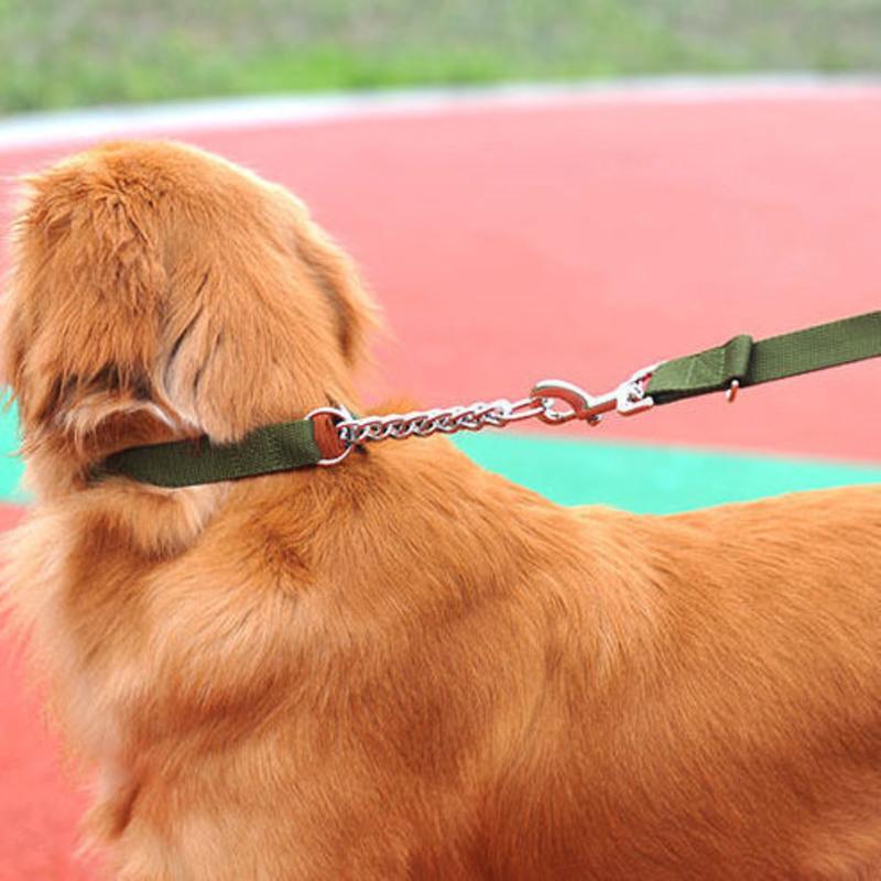 军绿色 m-中型 狗狗项圈马犬牵引绳专用金毛狗链子大中型犬遛拴狗绳