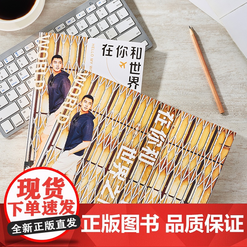 [央视网]在你和世界之间 9787572608551 湖南文艺出版社 李柘远 TJ高清大图